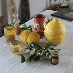 公寓式酒店 Naxos Filoxenia 加里尼