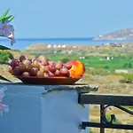 Naxos Filoxenia 公寓式酒店 3*