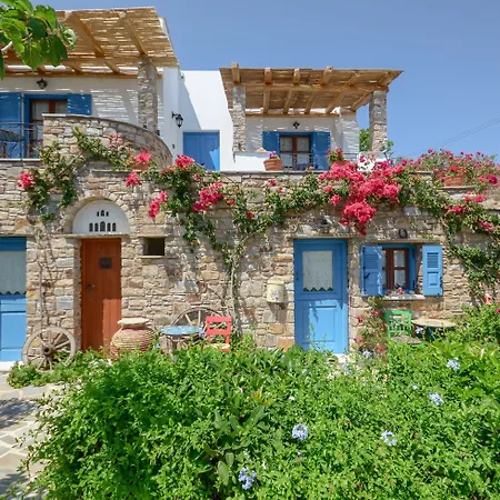 Naxos Filoxenia 3* Галини
