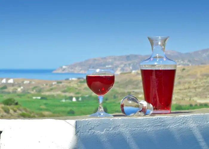 Naxos Filoxenia Апарт-отель 3*