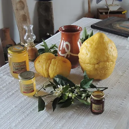 شقة فندقية Naxos Filoxenia Galini (Naxos)