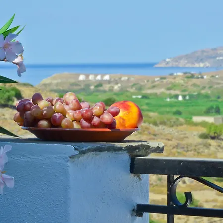 Naxos Filoxenia Aparthotel 3*